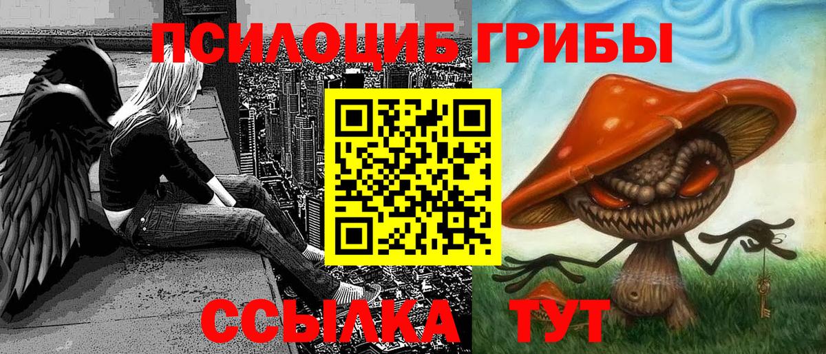 Кандалакша  Псилоцибиновые грибы Psilocybine cubensis  Вход с VPN 